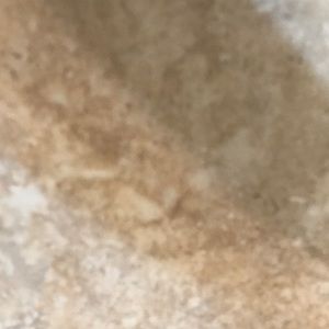 Meet your Posher, Paige